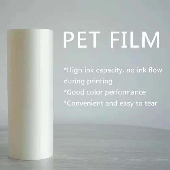 China 2023 Hot Sales A3 Digital Pet Transfer Film Dtf Inkjet